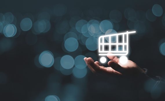 comercio-online-sierra-de-las-nieves-market-estrategias-de-precios